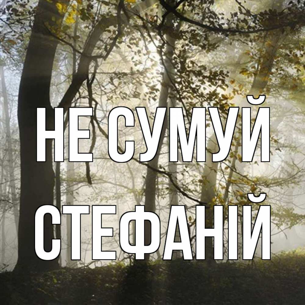 Открытка на каждый день з підписом, Стефаній Не сумуй лес и свет Прикольна листівка з побажанням онлайн скачати безкоштовно 