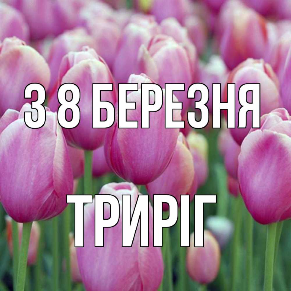 Открытка на каждый день з підписом, Триріг З 8 БЕРЕЗНЯ на международный женский день 3 Прикольна листівка з побажанням онлайн скачати безкоштовно 