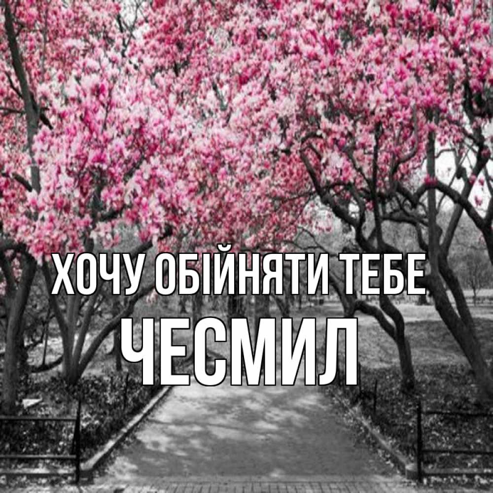 Открытка на каждый день з підписом, Чесмил Хочу обійняти тебе обработанное фото Прикольна листівка з побажанням онлайн скачати безкоштовно 