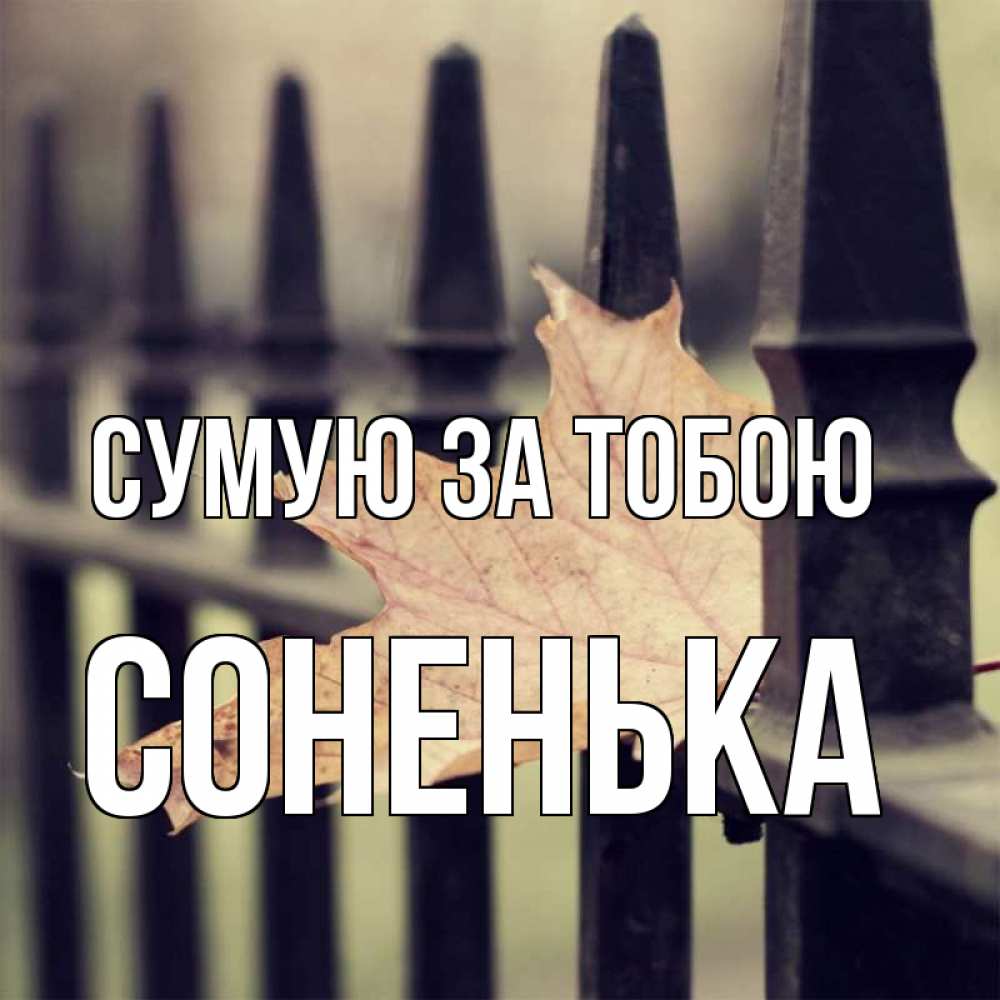 Открытка на каждый день з підписом, Соненька Сумую за тобою очень скучно Прикольна листівка з побажанням онлайн скачати безкоштовно 