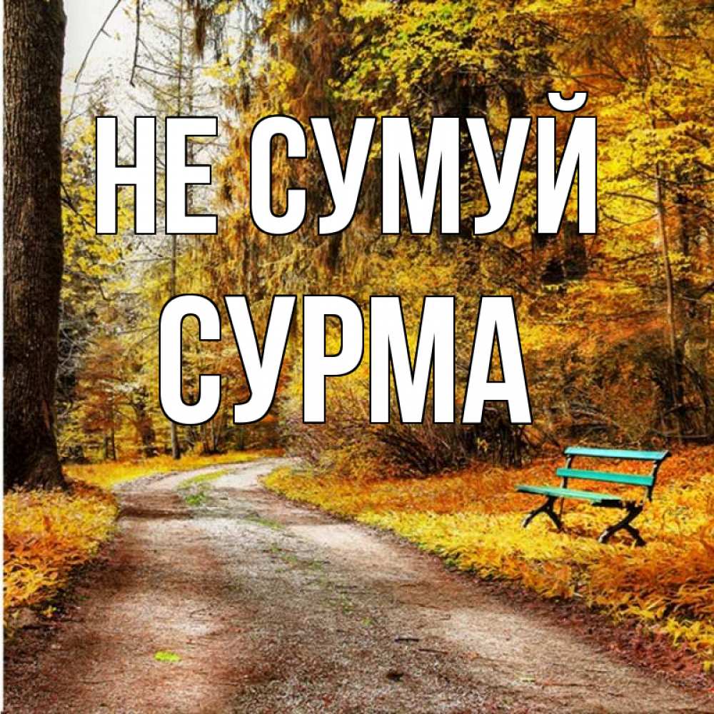 Открытка на каждый день з підписом, Сурма Не сумуй зеленая лавочка Прикольна листівка з побажанням онлайн скачати безкоштовно 