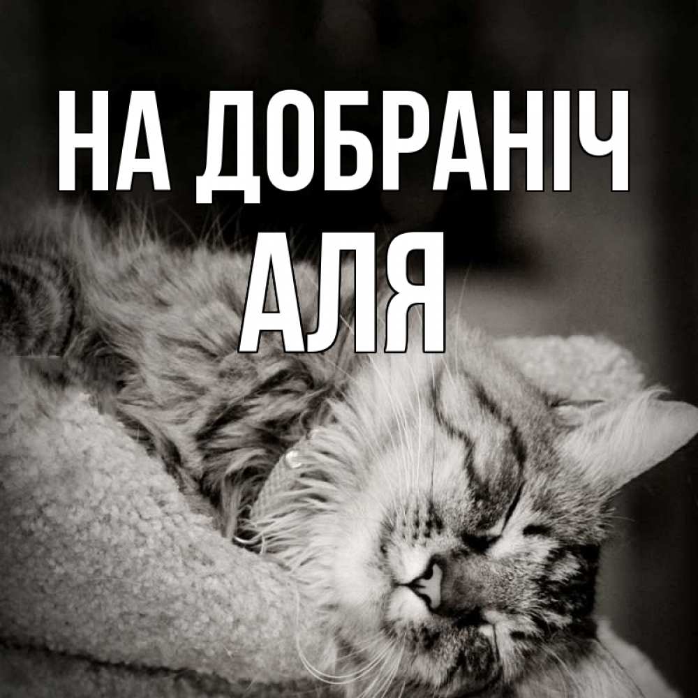 Открытка на каждый день з підписом, Аля На добраніч котярик пушистый Прикольна листівка з побажанням онлайн скачати безкоштовно 