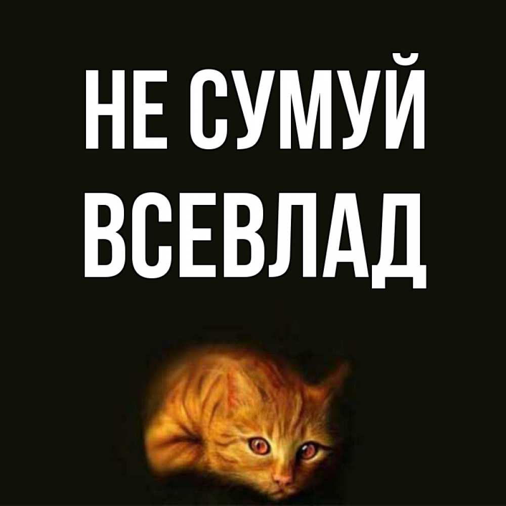 Открытка на каждый день з підписом, Всевлад Не сумуй лежащий кот в темноте Прикольна листівка з побажанням онлайн скачати безкоштовно 