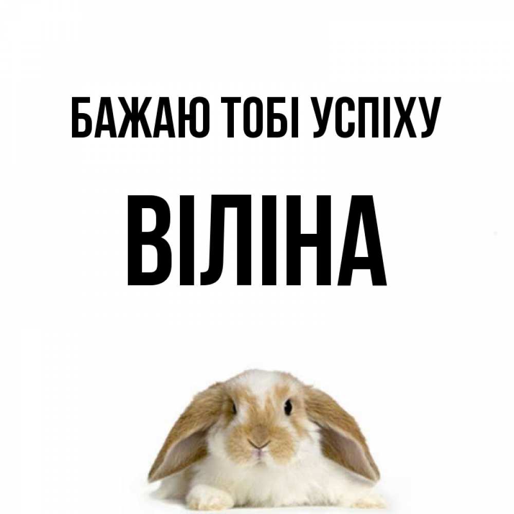Открытка на каждый день з підписом, Віліна Бажаю тобі успіху открытки с произвольным текстом который можно вставить в открытку и создать ее самостоятельно бесплатно онлайн Прикольна листівка з побажанням онлайн скачати безкоштовно 