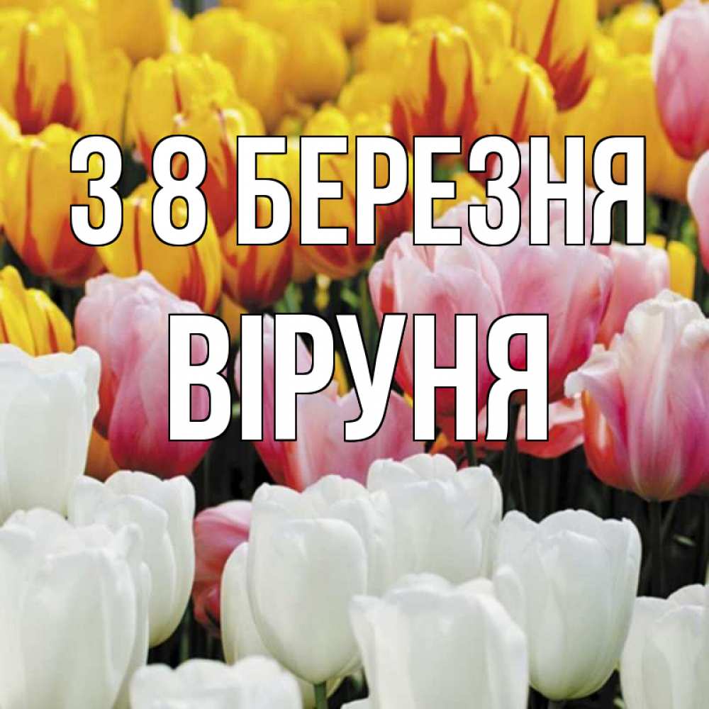 Открытка на каждый день з підписом, Віруня З 8 БЕРЕЗНЯ разноцветные цветы Прикольна листівка з побажанням онлайн скачати безкоштовно 