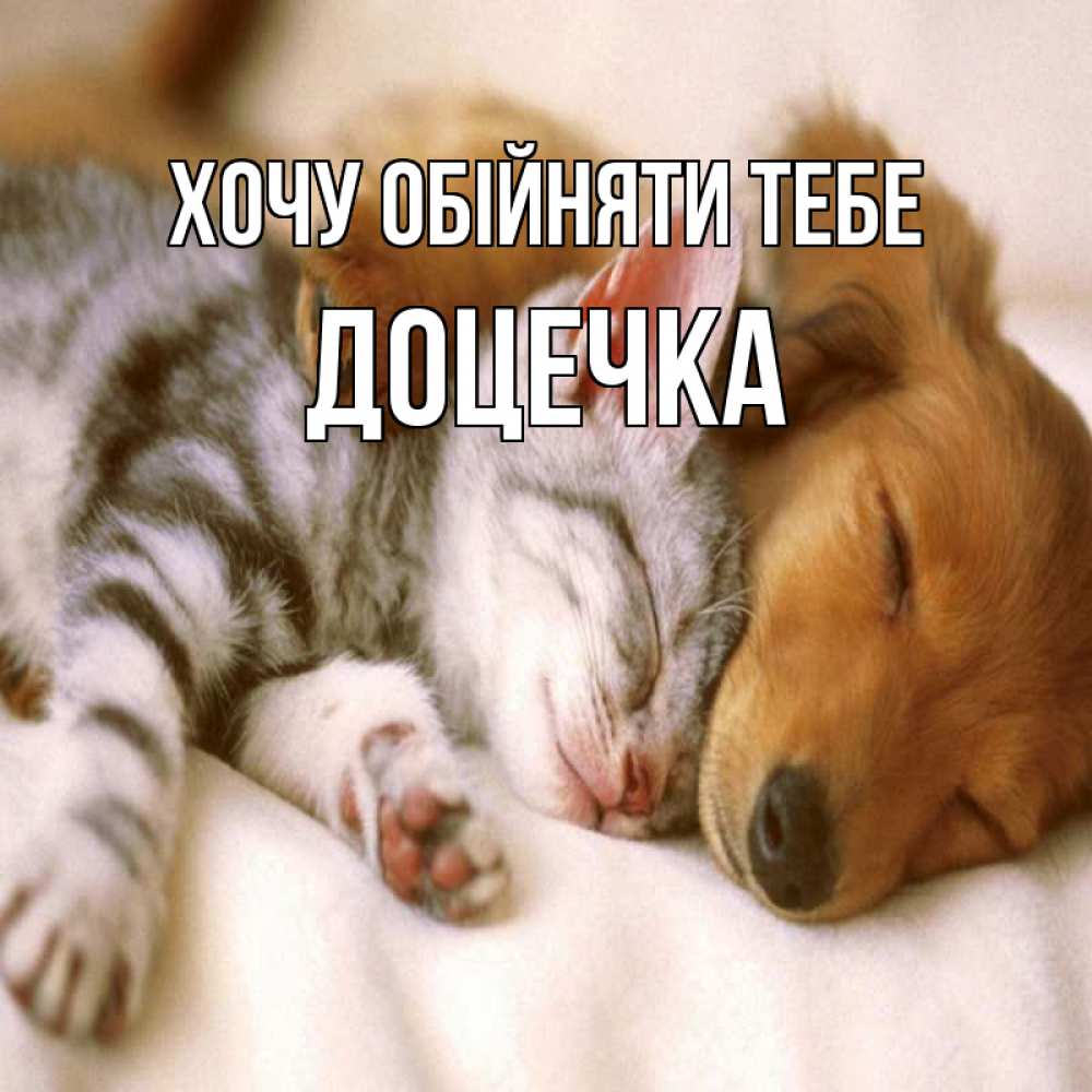 Открытка на каждый день з підписом, Доцечка Хочу обійняти тебе пес и котенок Прикольна листівка з побажанням онлайн скачати безкоштовно 
