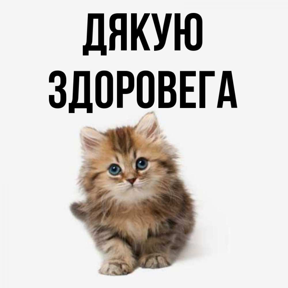 Открытка на каждый день з підписом, Здоровега Дякую пушистый котик Прикольна листівка з побажанням онлайн скачати безкоштовно 