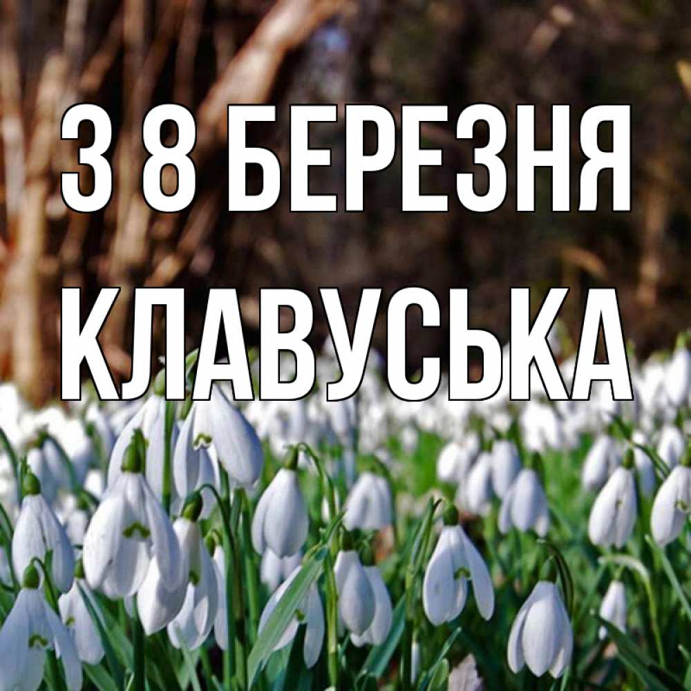 Открытка на каждый день з підписом, Клавуська З 8 БЕРЕЗНЯ с подснежниками 1 Прикольна листівка з побажанням онлайн скачати безкоштовно 
