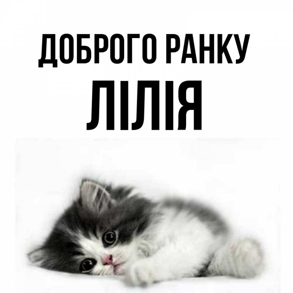 Открытка на каждый день з підписом, Лілія Доброго ранку кот лапки Прикольна листівка з побажанням онлайн скачати безкоштовно 