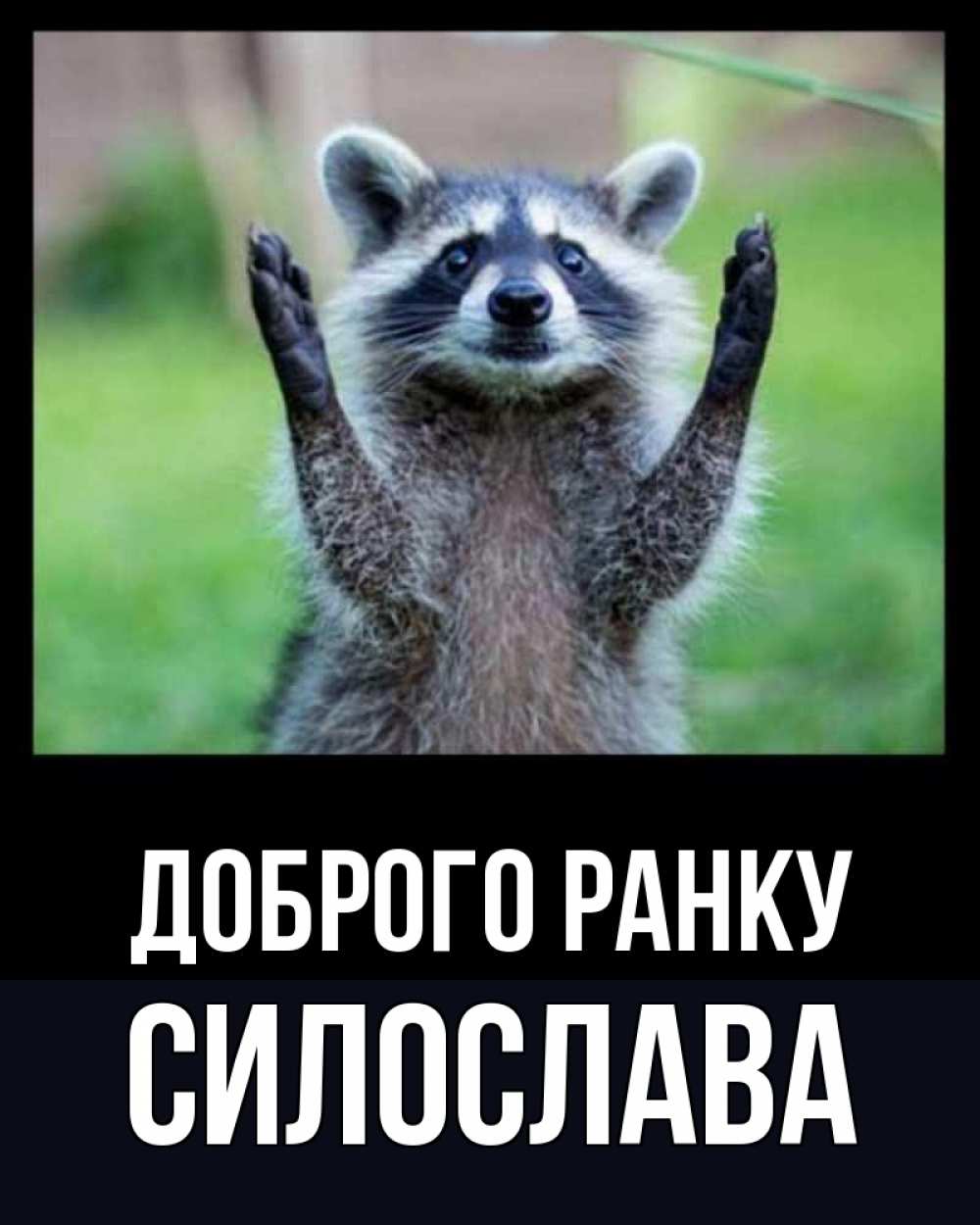 Открытка на каждый день з підписом, Силослава Доброго ранку хорошее настроение утречком Прикольна листівка з побажанням онлайн скачати безкоштовно 