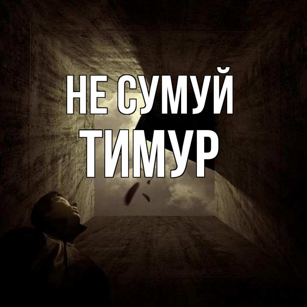Открытка на каждый день з підписом, Тимур Не сумуй жуть Прикольна листівка з побажанням онлайн скачати безкоштовно 