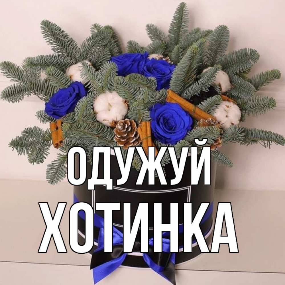 Открытка на каждый день з підписом, Хотинка Одужуй короче кто то загрузил эти шишки Прикольна листівка з побажанням онлайн скачати безкоштовно 