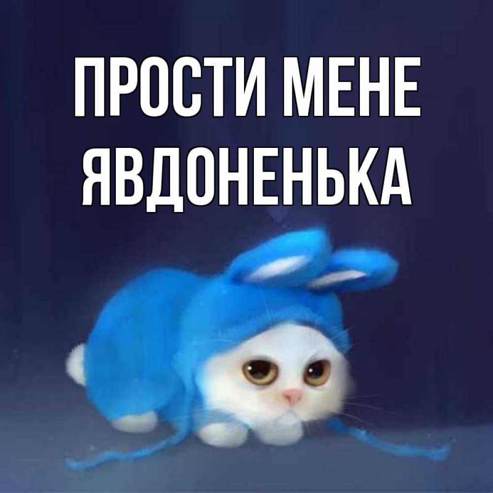 Открытка на каждый день з підписом, Явдоненька Прости мене невинный котозай просит прощения Прикольна листівка з побажанням онлайн скачати безкоштовно 