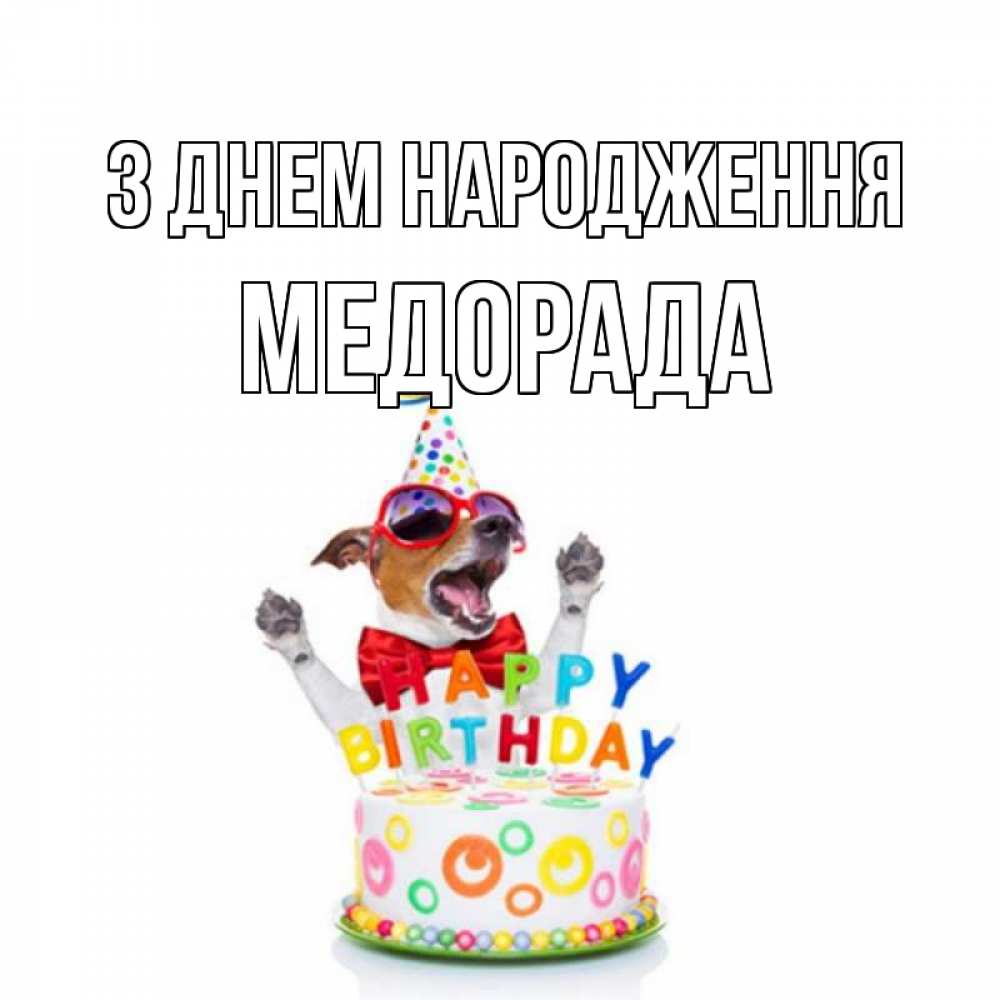 Открытка на каждый день з підписом, Медорада З Днем народження тортик Прикольна листівка з побажанням онлайн скачати безкоштовно 