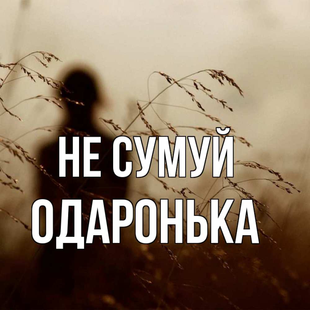 Открытка на каждый день з підписом, Одаронька Не сумуй грусть Прикольна листівка з побажанням онлайн скачати безкоштовно 