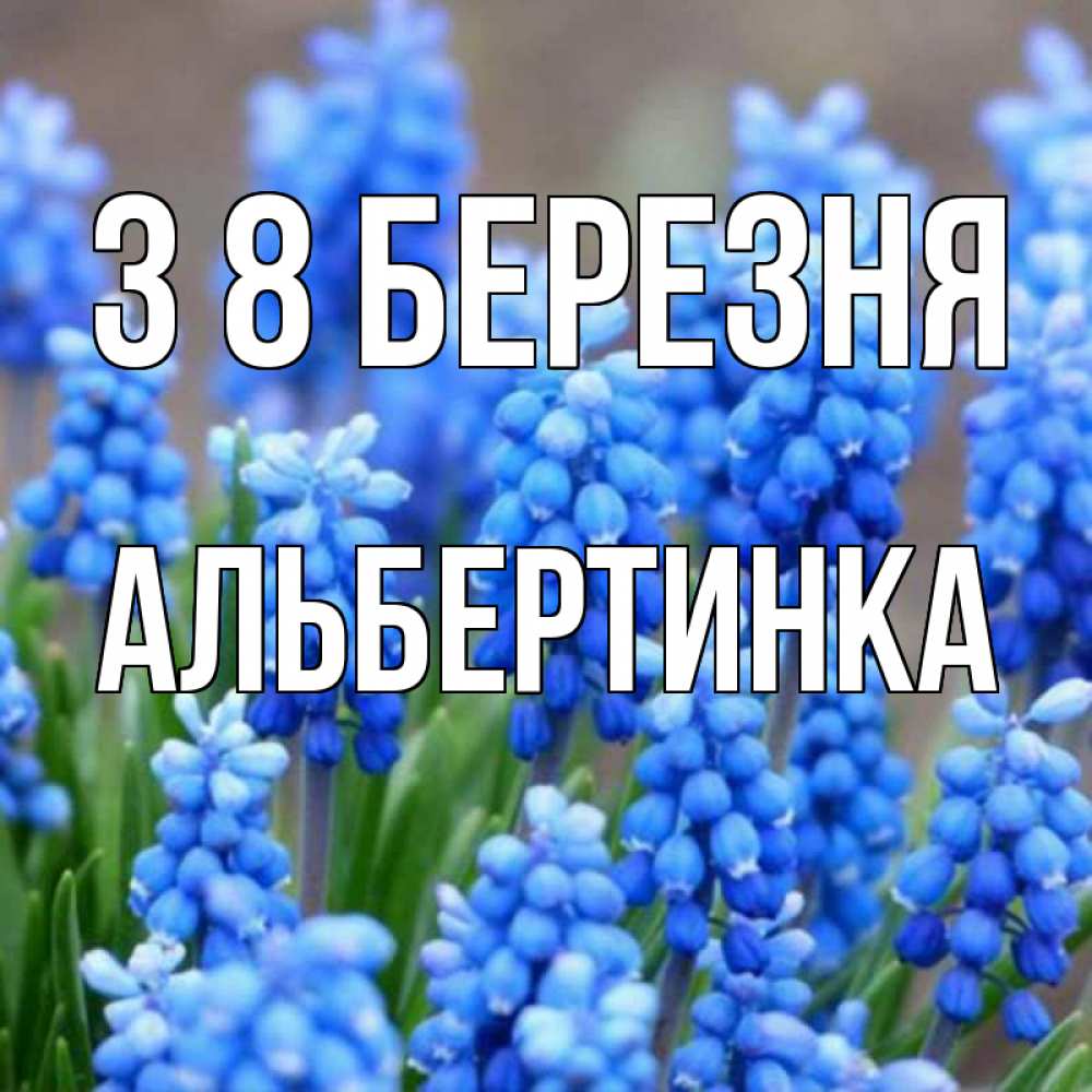 Открытка на каждый день з підписом, Альбертинка З 8 БЕРЕЗНЯ Поздравительная открытка для женщин с цветами на праздничную дату Прикольна листівка з побажанням онлайн скачати безкоштовно 