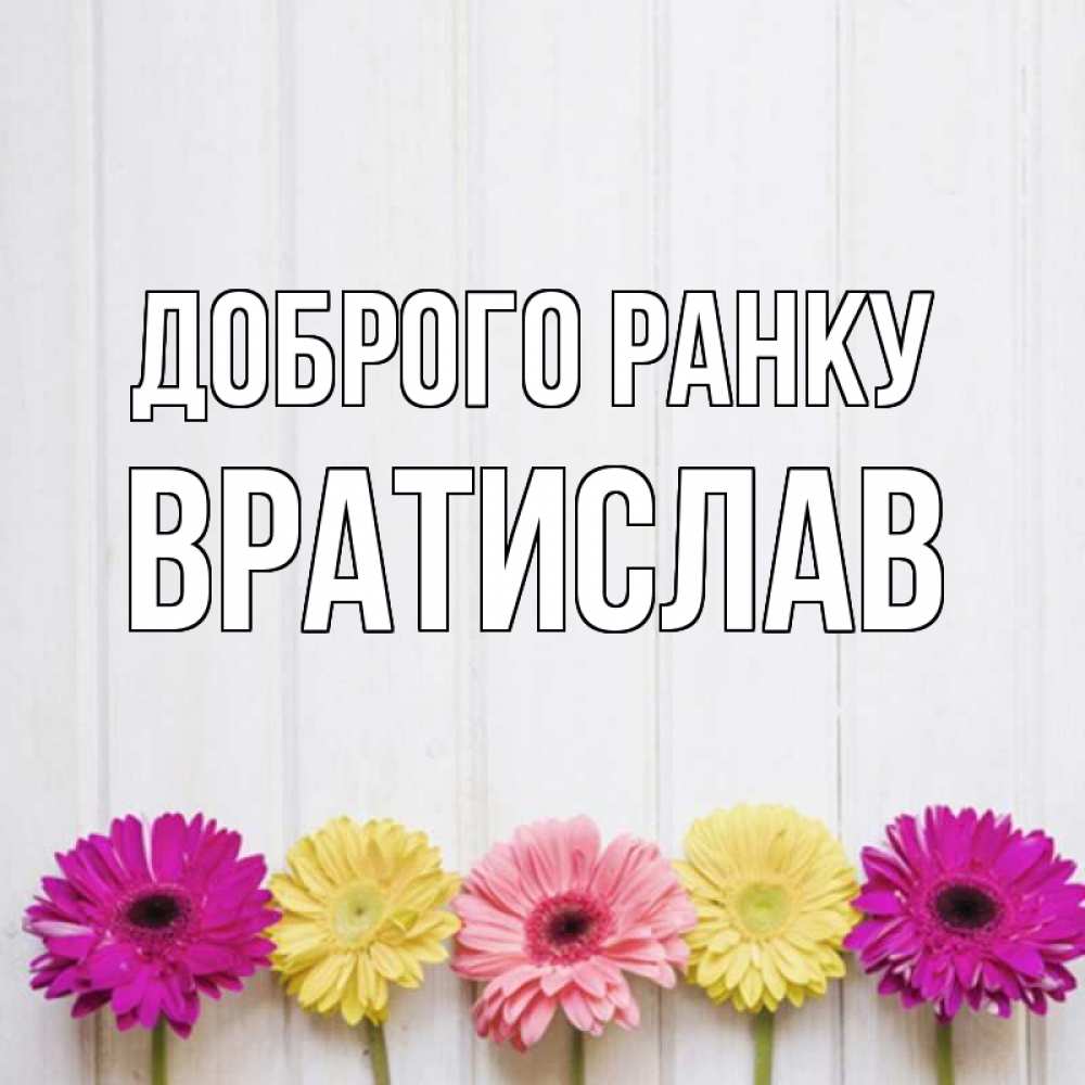 Открытка на каждый день з підписом, Вратислав Доброго ранку красный желтый и розовый цветок Прикольна листівка з побажанням онлайн скачати безкоштовно 