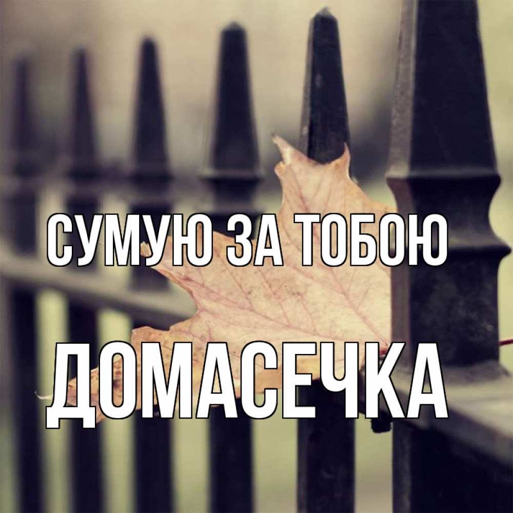 Открытка на каждый день з підписом, Домасечка Сумую за тобою очень скучно Прикольна листівка з побажанням онлайн скачати безкоштовно 