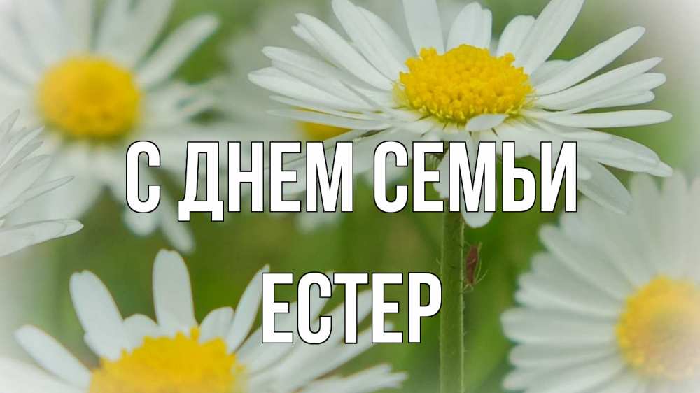 Открытка на каждый день з підписом, Естер С днем семьи с днем семьи  1 Прикольна листівка з побажанням онлайн скачати безкоштовно 