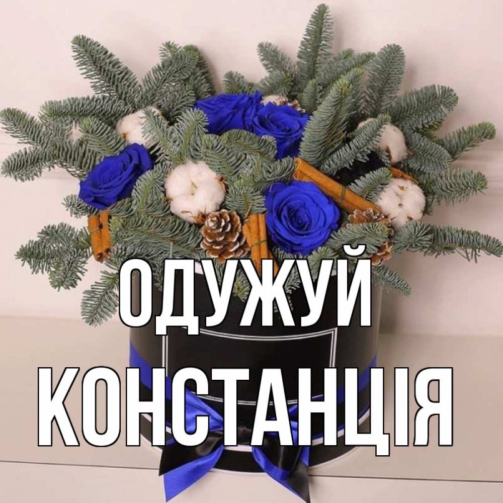 Открытка на каждый день з підписом, Констанція Одужуй короче кто то загрузил эти шишки Прикольна листівка з побажанням онлайн скачати безкоштовно 