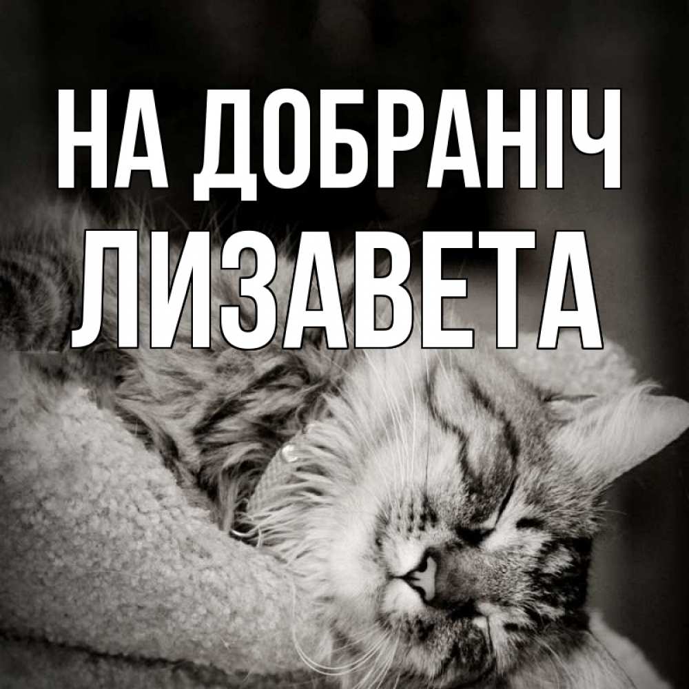 Открытка на каждый день з підписом, Лизавета На добраніч котярик пушистый Прикольна листівка з побажанням онлайн скачати безкоштовно 