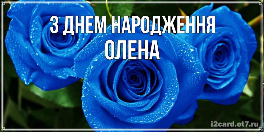 Открытка на каждый день з підписом, Олена З Днем народження розы с синим цветом Прикольна листівка з побажанням онлайн скачати безкоштовно 