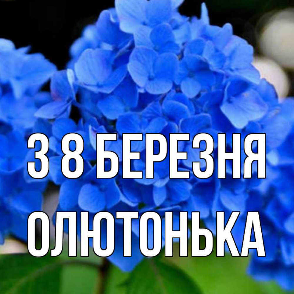 Открытка на каждый день з підписом, Олютонька З 8 БЕРЕЗНЯ синие цветы Прикольна листівка з побажанням онлайн скачати безкоштовно 
