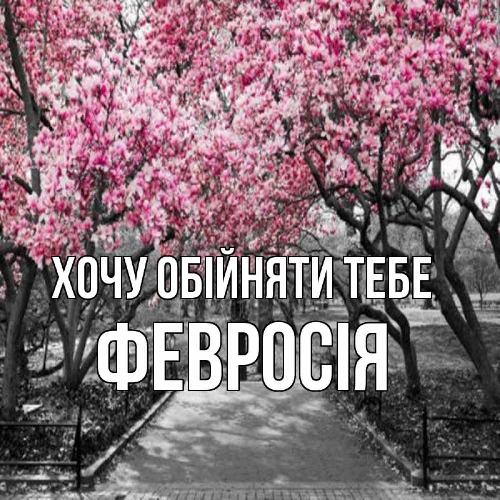 Открытка на каждый день з підписом, Февросія Хочу обійняти тебе обработанное фото Прикольна листівка з побажанням онлайн скачати безкоштовно 