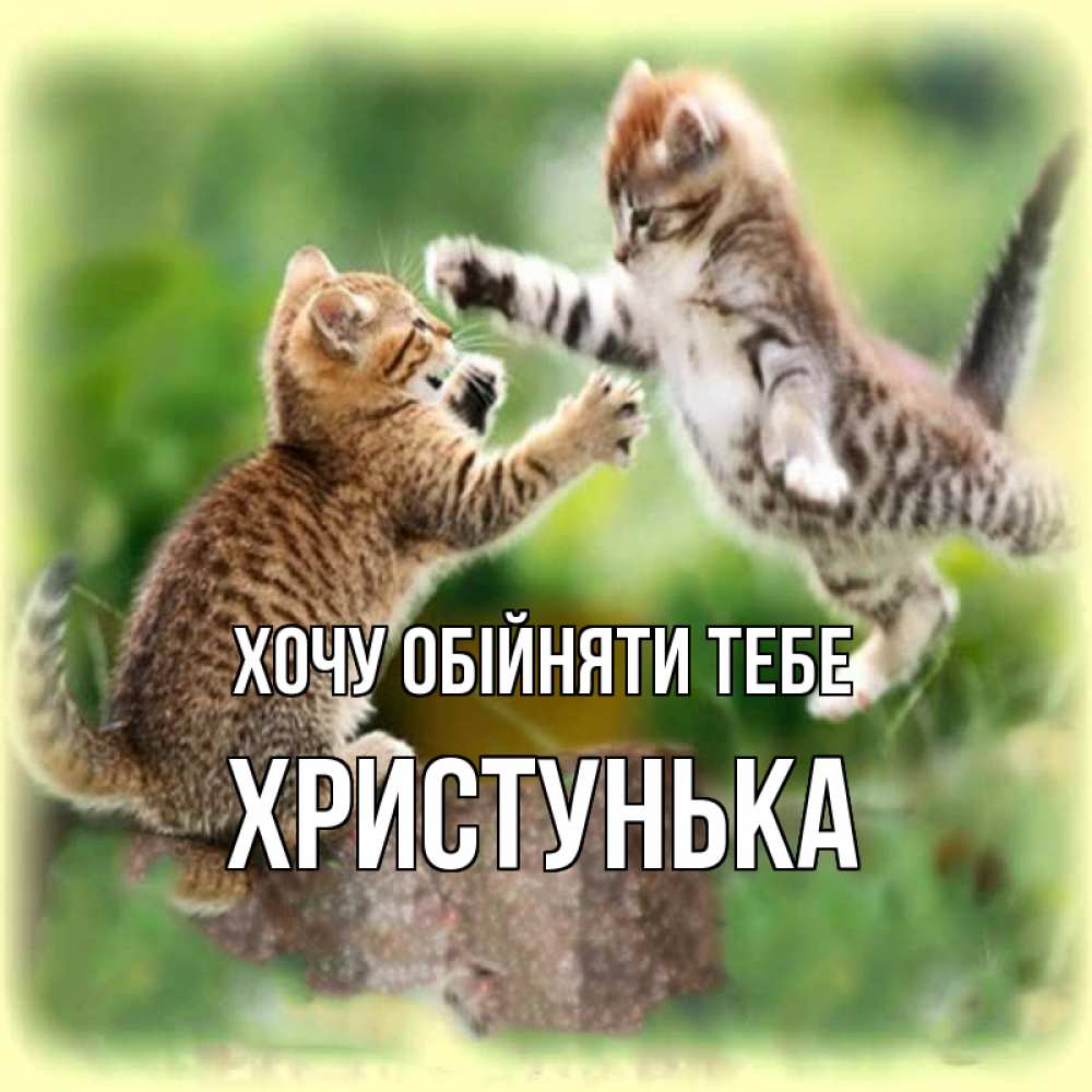 Открытка на каждый день з підписом, Христунька Хочу обійняти тебе игры котят Прикольна листівка з побажанням онлайн скачати безкоштовно 