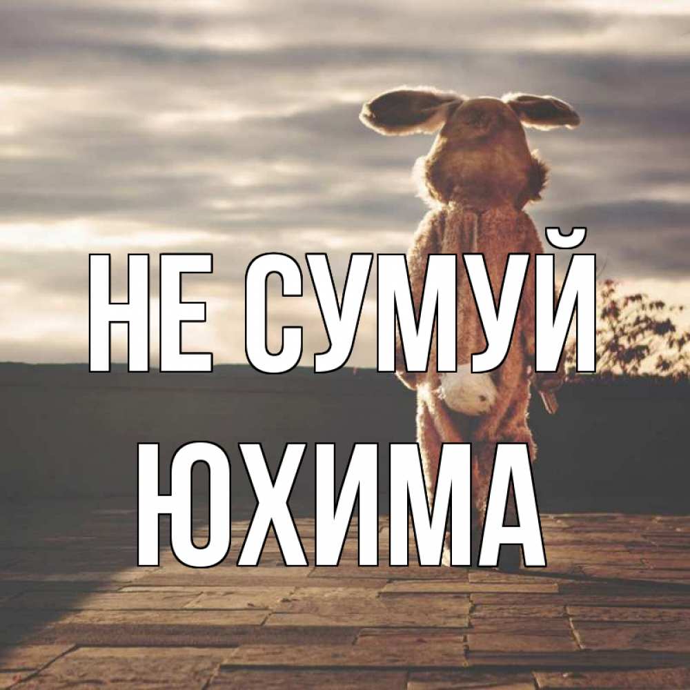 Открытка на каждый день з підписом, Юхима Не сумуй со спины Прикольна листівка з побажанням онлайн скачати безкоштовно 