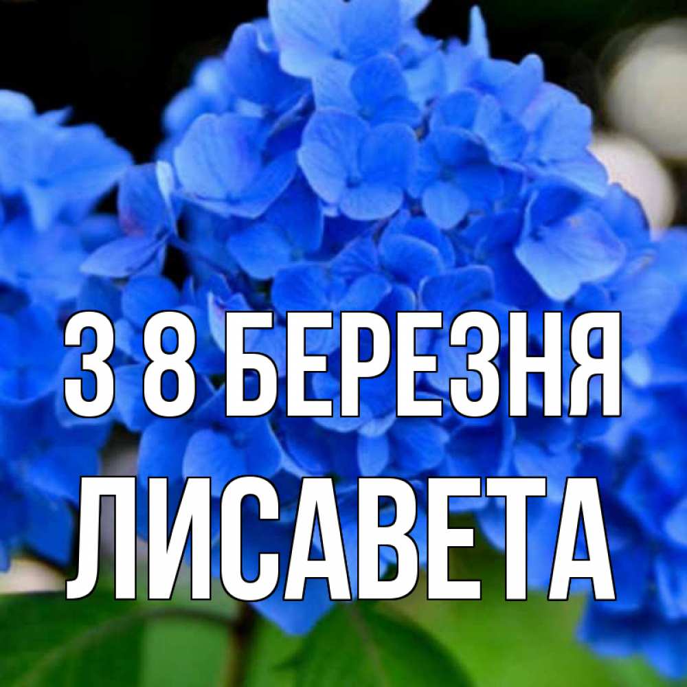 Открытка на каждый день з підписом, Лисавета З 8 БЕРЕЗНЯ синие цветы Прикольна листівка з побажанням онлайн скачати безкоштовно 