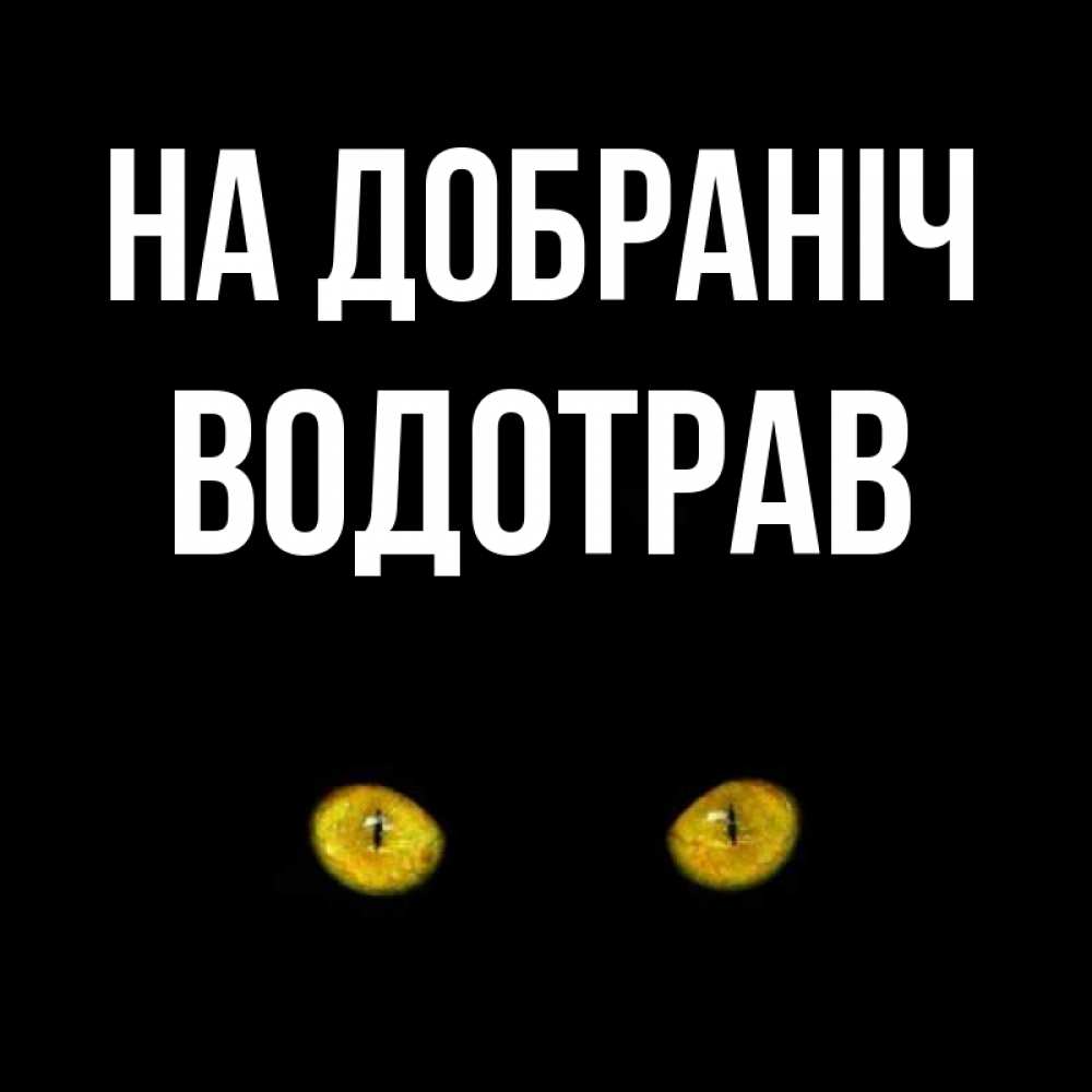 Открытка на каждый день з підписом, Водотрав На добраніч сладких снов бесстрашный мой дружочек Прикольна листівка з побажанням онлайн скачати безкоштовно 