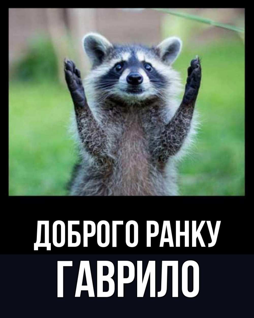 Открытка на каждый день з підписом, Гаврило Доброго ранку хорошее настроение утречком Прикольна листівка з побажанням онлайн скачати безкоштовно 