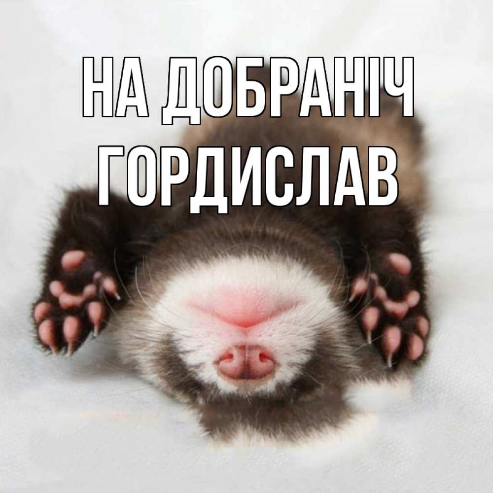 Открытка на каждый день з підписом, Гордислав На добраніч зверек Прикольна листівка з побажанням онлайн скачати безкоштовно 