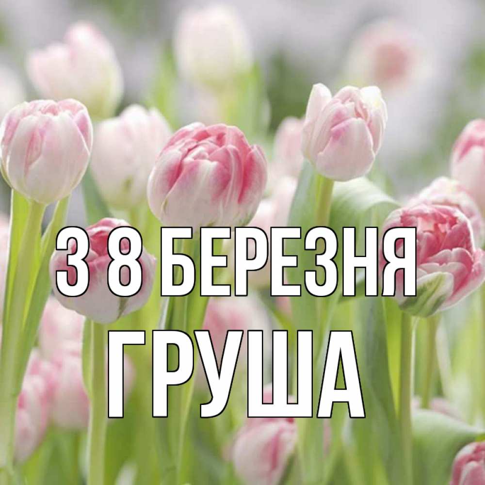 Открытка на каждый день з підписом, Груша З 8 БЕРЕЗНЯ цветы Прикольна листівка з побажанням онлайн скачати безкоштовно 