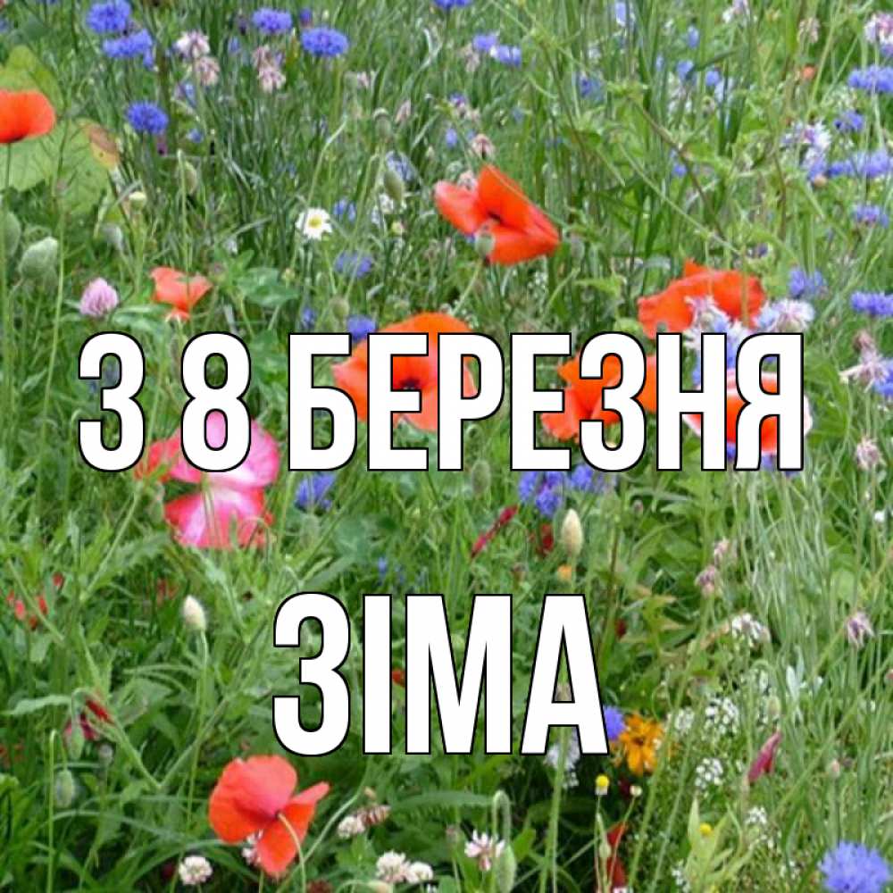 Открытка на каждый день з підписом, Зіма З 8 БЕРЕЗНЯ международный женский день 4 Прикольна листівка з побажанням онлайн скачати безкоштовно 