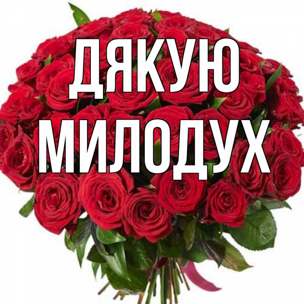 Открытка на каждый день з підписом, Милодух Дякую букет красных роз Прикольна листівка з побажанням онлайн скачати безкоштовно 