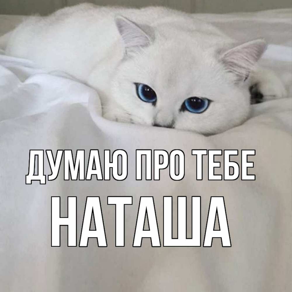 Открытка на каждый день з підписом, Наташа Думаю про тебе я очень по тебе скучаю и тоскую Прикольна листівка з побажанням онлайн скачати безкоштовно 