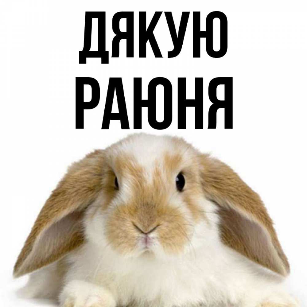 Открытка на каждый день з підписом, Раюня Дякую коричнево белый заяц Прикольна листівка з побажанням онлайн скачати безкоштовно 