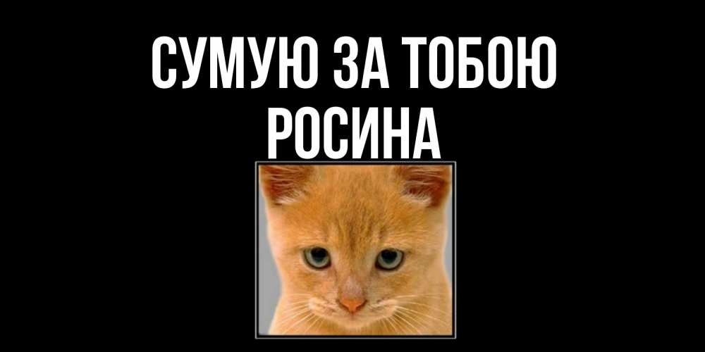 Открытка на каждый день з підписом, Росина Сумую за тобою открытки рыжий котенок скучает по тебе Прикольна листівка з побажанням онлайн скачати безкоштовно 