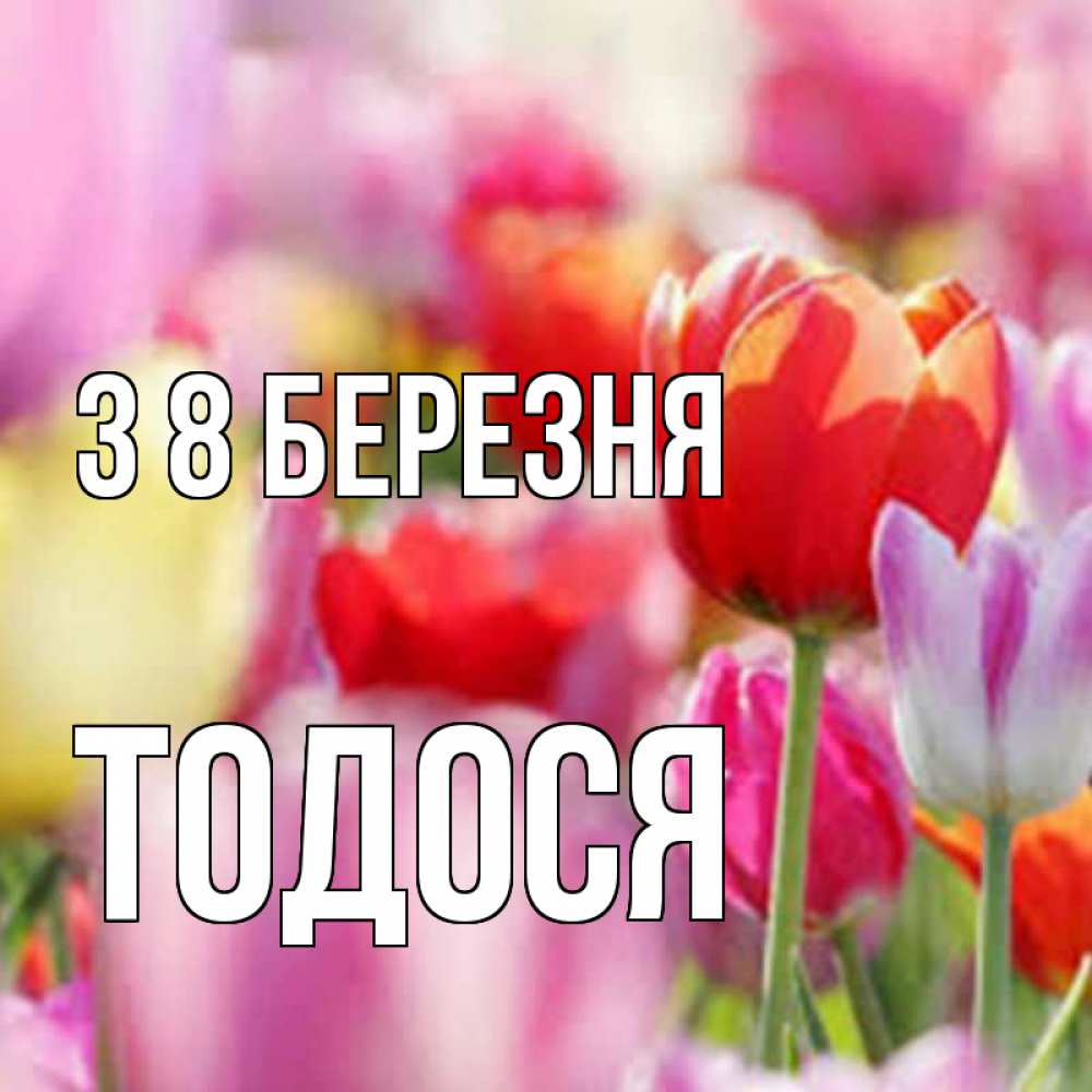 Открытка на каждый день з підписом, Тодося З 8 БЕРЕЗНЯ на международный женский день 2 Прикольна листівка з побажанням онлайн скачати безкоштовно 