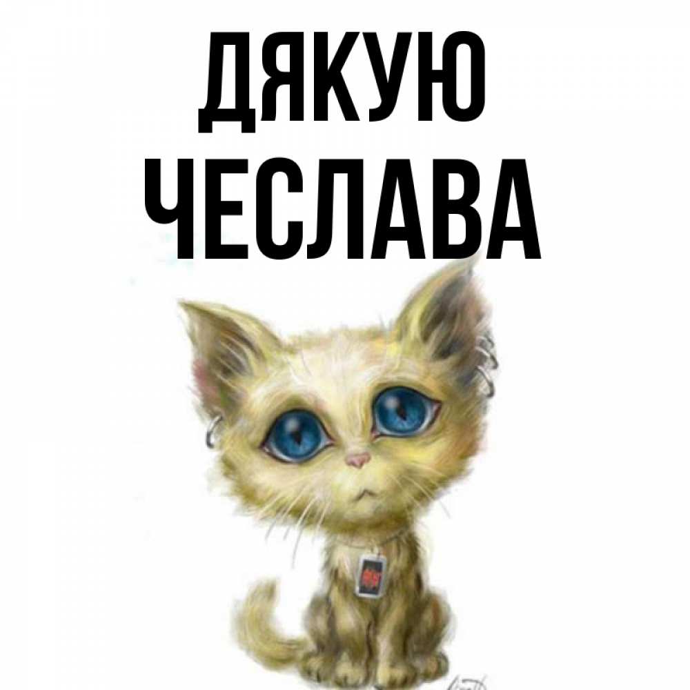 Открытка на каждый день з підписом, Чеслава Дякую рисованный кот благодарит вас Прикольна листівка з побажанням онлайн скачати безкоштовно 