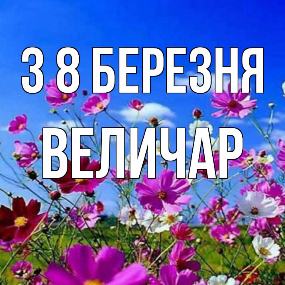 Открытка на каждый день з підписом, Величар З 8 БЕРЕЗНЯ цветы Прикольна листівка з побажанням онлайн скачати безкоштовно 