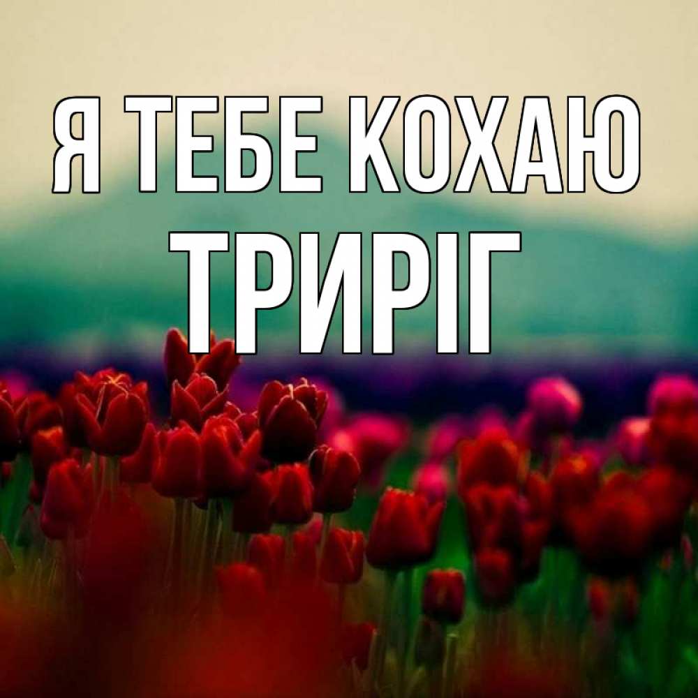 Открытка на каждый день з підписом, Триріг Я тебе кохаю тюльпаны 4 Прикольна листівка з побажанням онлайн скачати безкоштовно 