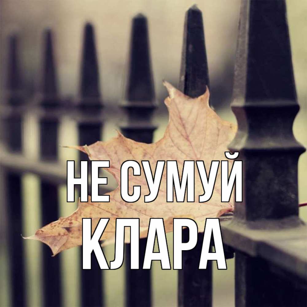 Открытка на каждый день з підписом, Клара Не сумуй лист клена Прикольна листівка з побажанням онлайн скачати безкоштовно 
