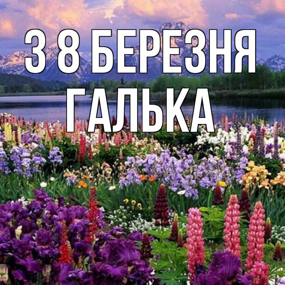 Открытка на каждый день з підписом, Галька З 8 БЕРЕЗНЯ международный женский день Прикольна листівка з побажанням онлайн скачати безкоштовно 