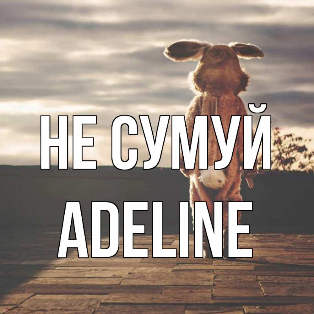Открытка на каждый день з підписом, Adeline Не сумуй со спины Прикольна листівка з побажанням онлайн скачати безкоштовно 