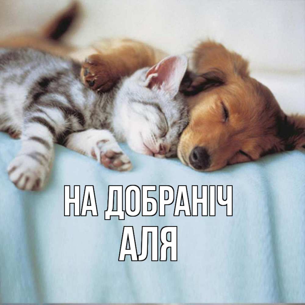 Открытка на каждый день з підписом, Аля На добраніч с животными Прикольна листівка з побажанням онлайн скачати безкоштовно 