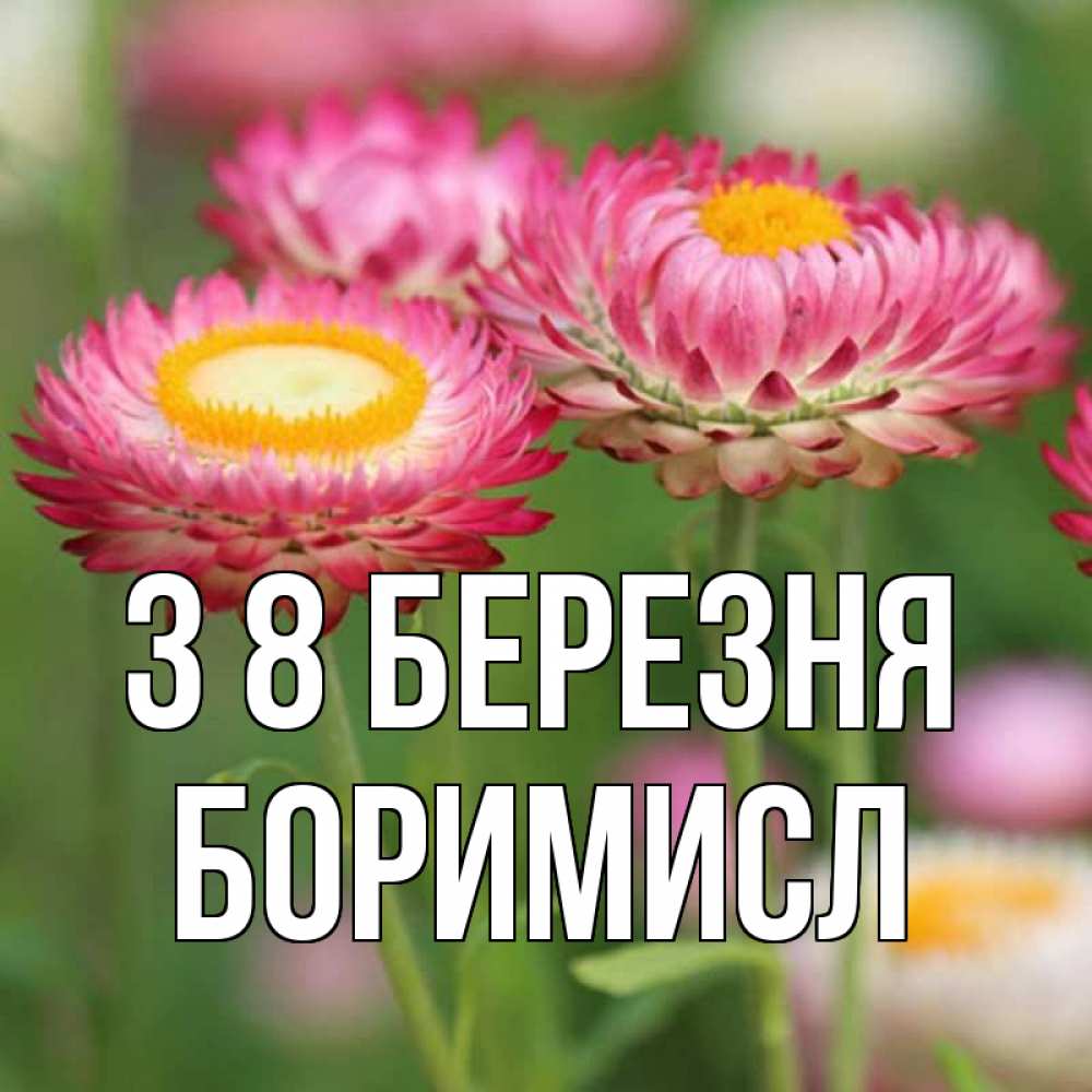 Открытка на каждый день з підписом, Боримисл З 8 БЕРЕЗНЯ подарок на международный женский день Прикольна листівка з побажанням онлайн скачати безкоштовно 