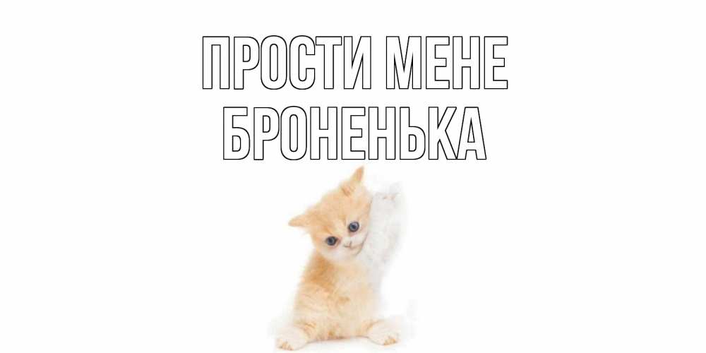 Открытка на каждый день з підписом, Броненька Прости мене кот Прикольна листівка з побажанням онлайн скачати безкоштовно 